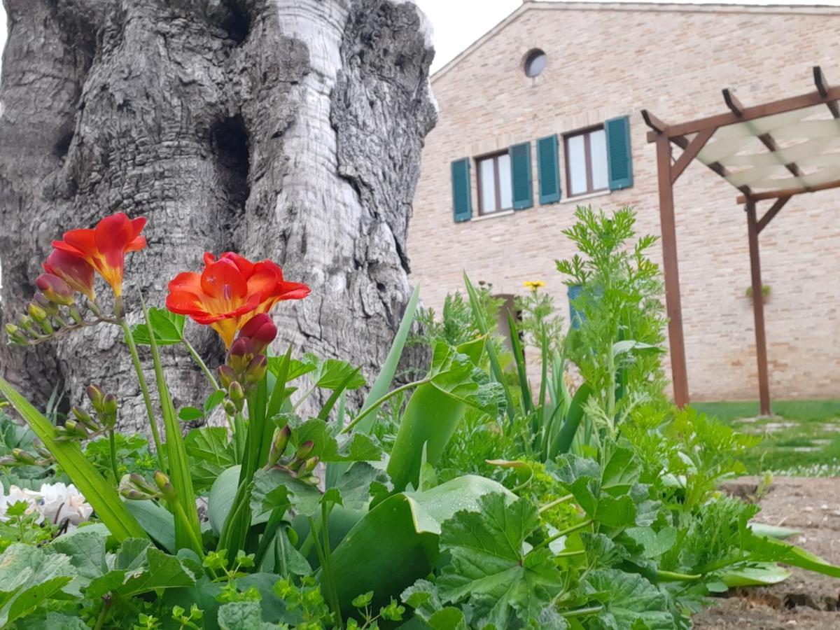 Aparthotel Casale Del Conero Porto Recanati Exterior foto